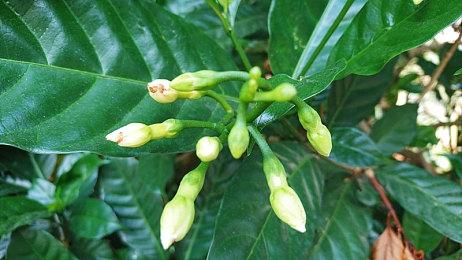 《沙丘：觉醒》现已开启预购：商业模式、特别版及PC配置公布