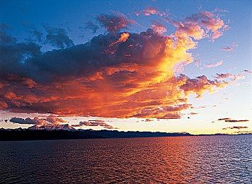 传闻：《生化危机：安魂曲》或将包含三位可操作角色